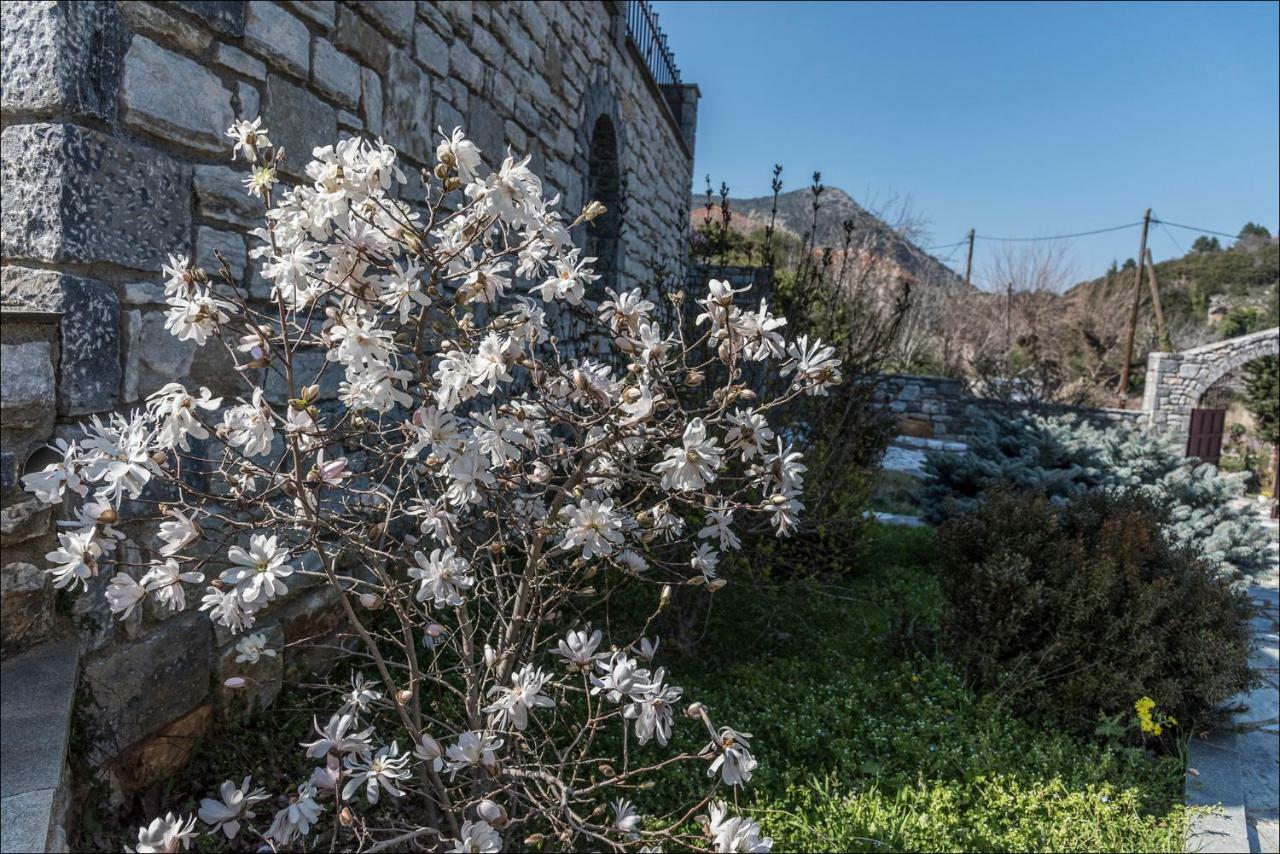 Stone Mansion Anavryti, Αμα 20569 Villa Mystras Luaran gambar