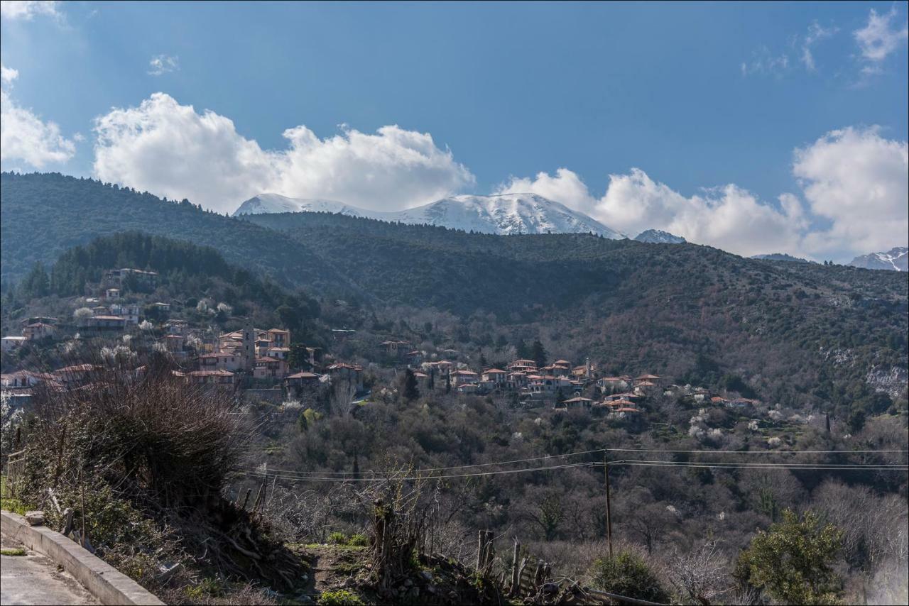 Stone Mansion Anavryti, Αμα 20569 Villa Mystras Luaran gambar
